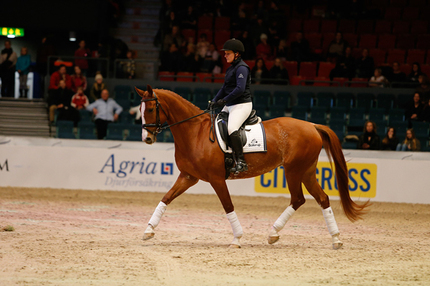 Gothenburg Horse Show 2014