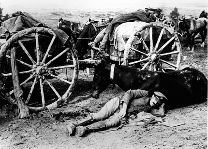On CD HR 1. Soldier and horse resting during 1st WW.