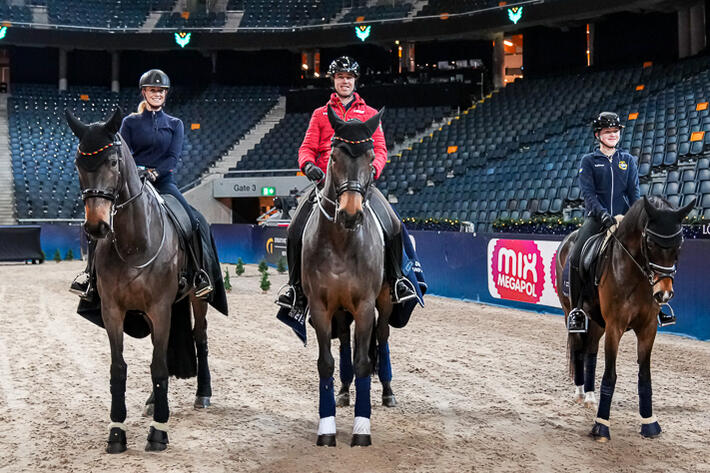 Sweden International Horse Show 2022