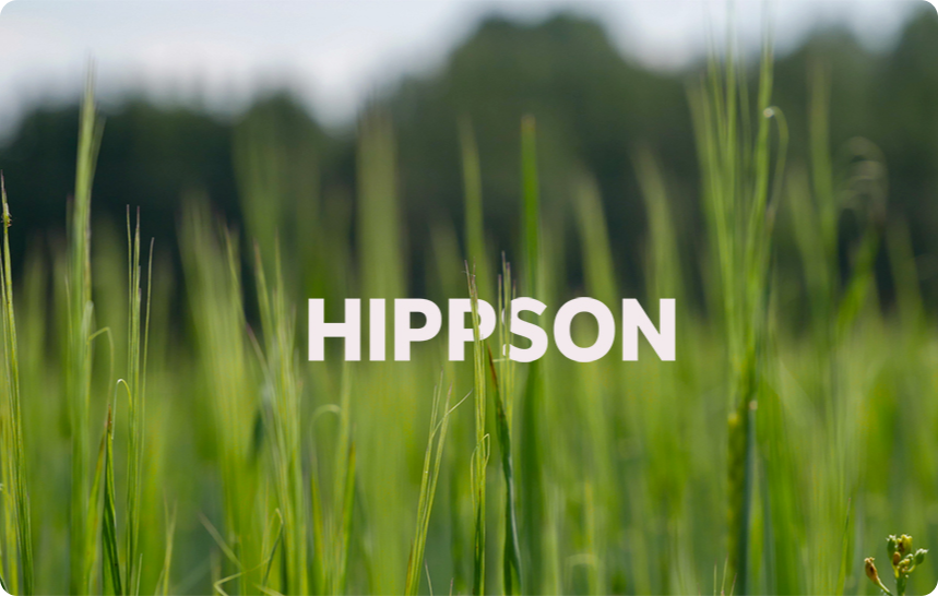 Halm är ett bra kompletterande fodermedel – enligt ny svensk forskning